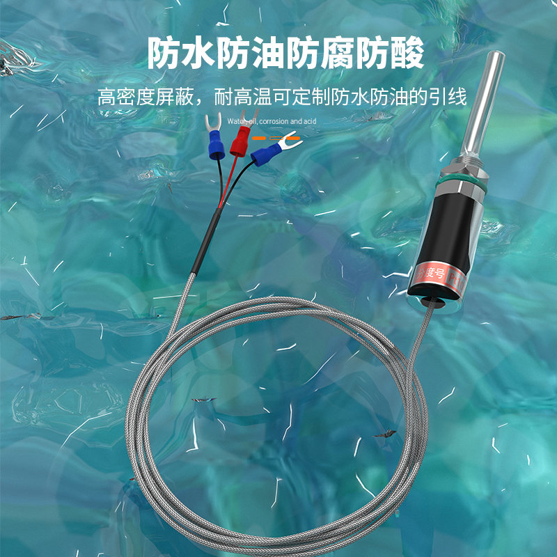 PT100溫度傳感器13_http://www.dyteang.cn_溫度儀表_第4張