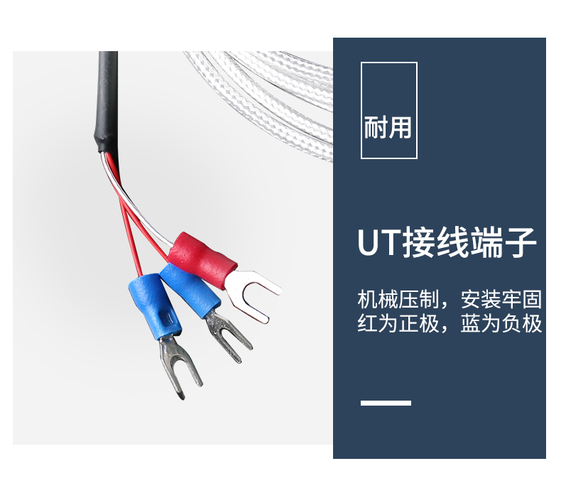 端面熱電阻6_http://www.dyteang.cn_溫度儀表_第12張