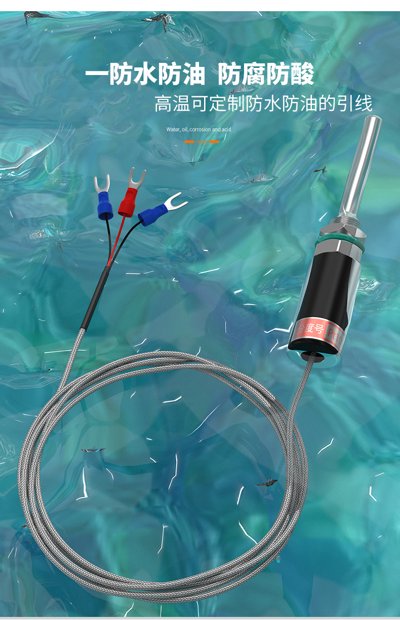 PT100溫度傳感器13_http://www.dyteang.cn_溫度儀表_第9張