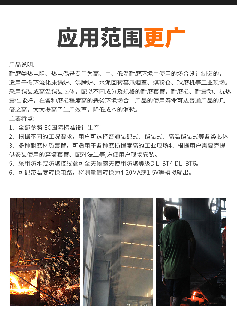 WRNM-131耐磨熱電偶15_http://www.dyteang.cn_溫度儀表_第6張