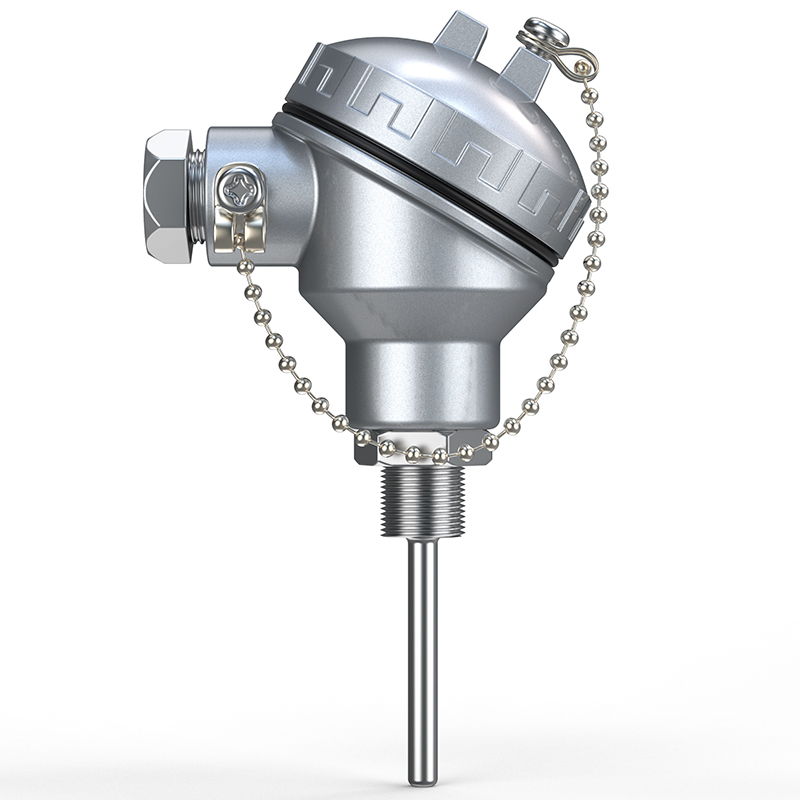PT-100 一體化溫度傳感變送器16_http://www.dyteang.cn_溫度儀表_第1張