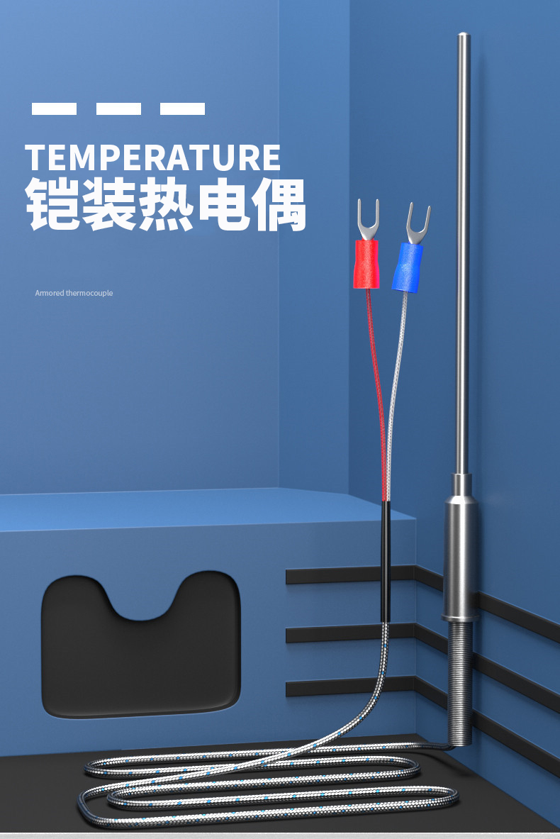 鎧裝溫度傳感器18_http://www.dyteang.cn_溫度儀表_第5張