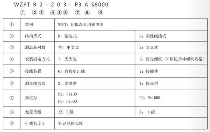 超低溫專用熱電阻_http://www.dyteang.cn_專用溫度傳感器_第2張